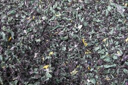 Film 처리 후