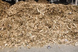 Waste Wood 처리 후