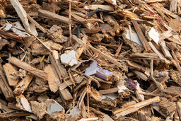 Waste Wood 처리 전